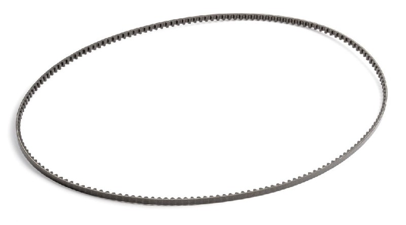 Team Associated Front Belt