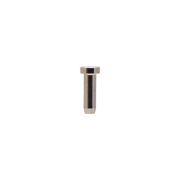 Iwata Valve Piston