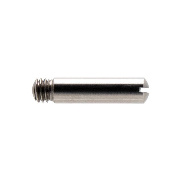 Iwata Trigger Screw