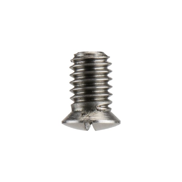 Iwata Main Body Ring Screw