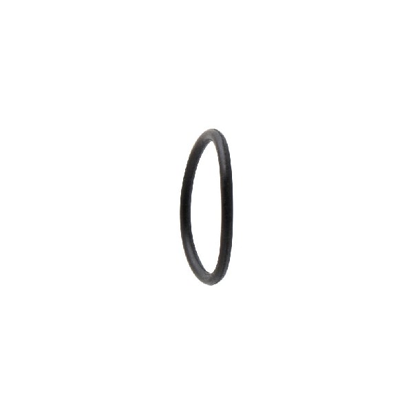 Iwata Nozzle Cap O-Ring for NEO for Iwata: TRN2