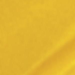 Mission Models Gold 1oz (30ml) (1)