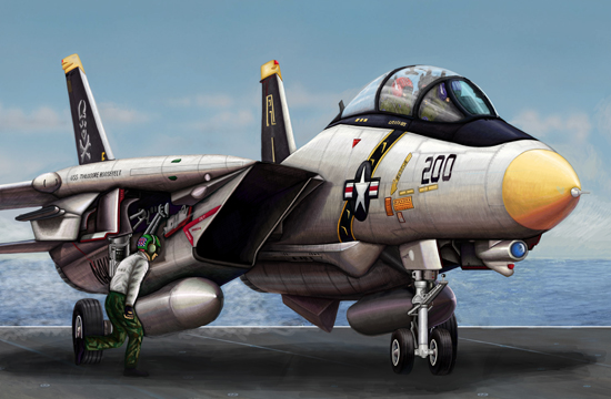 Trumpeter 1/144 F-14A Tomcat